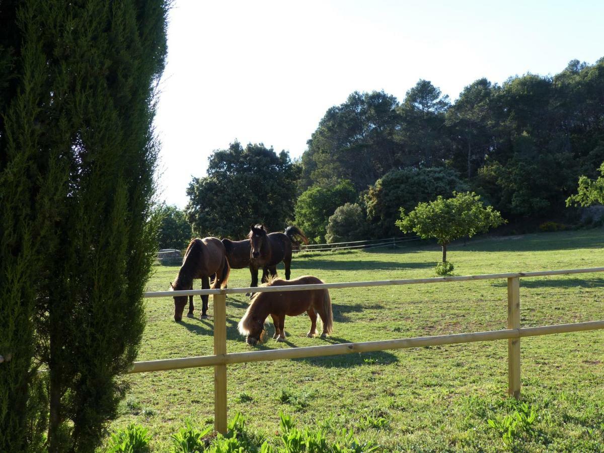 Domaine Des Bruguieres Villa Entrecasteaux Екстериор снимка